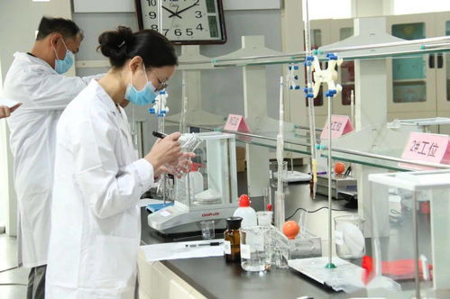 食品檢驗同臺競技，守護舌尖上的安全——平陰縣第四屆職業(yè)技能大賽之農產品食品檢驗員競賽成功舉辦