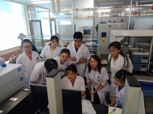 篤實好學，心中有譜 液相色譜-質譜聯用與計算機技術培訓的重要價值